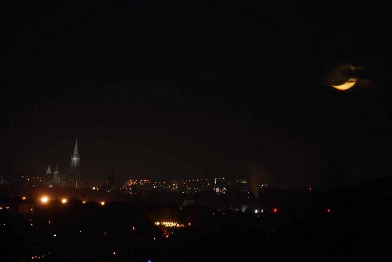 Ulmer Muenster Blick Elchingen Buitenkant foto