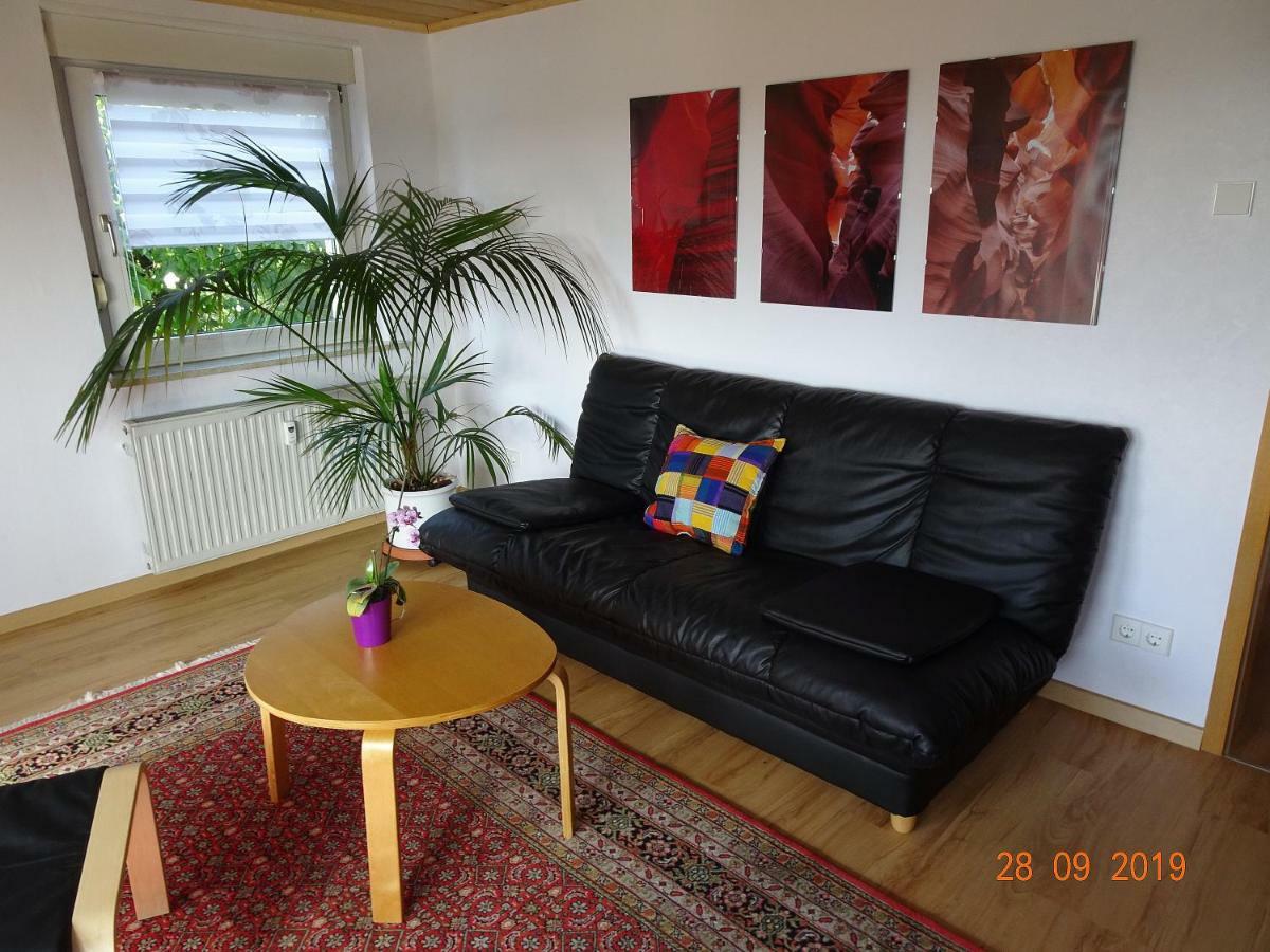 Ulmer Muenster Blick Elchingen Buitenkant foto