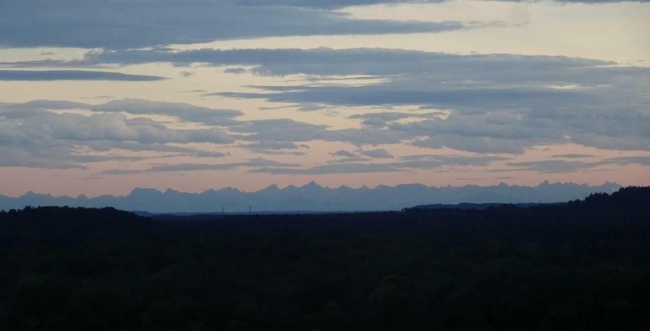 Ulmer Muenster Blick Elchingen Buitenkant foto